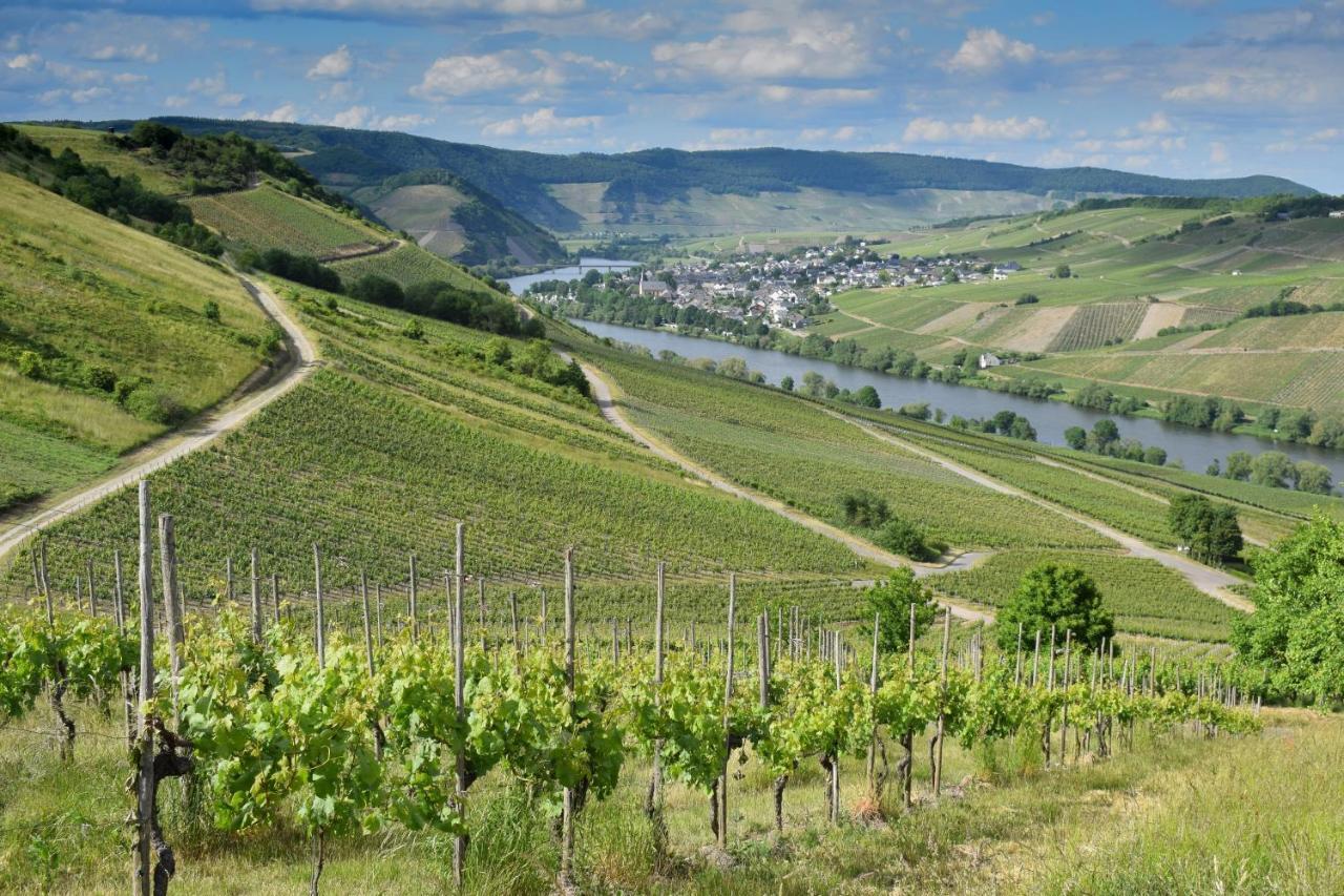 Apartment Evelyne Bernkastel-Kues