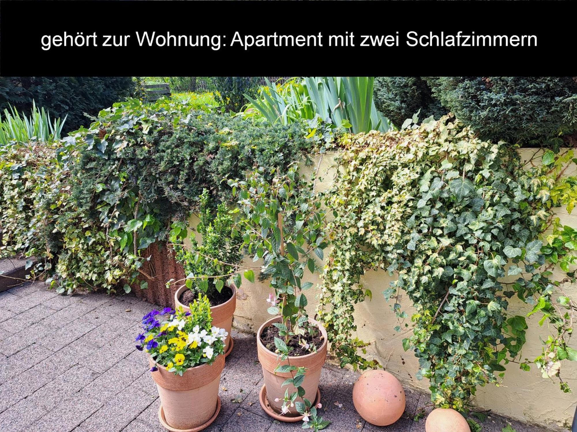 Evelyne Apartment