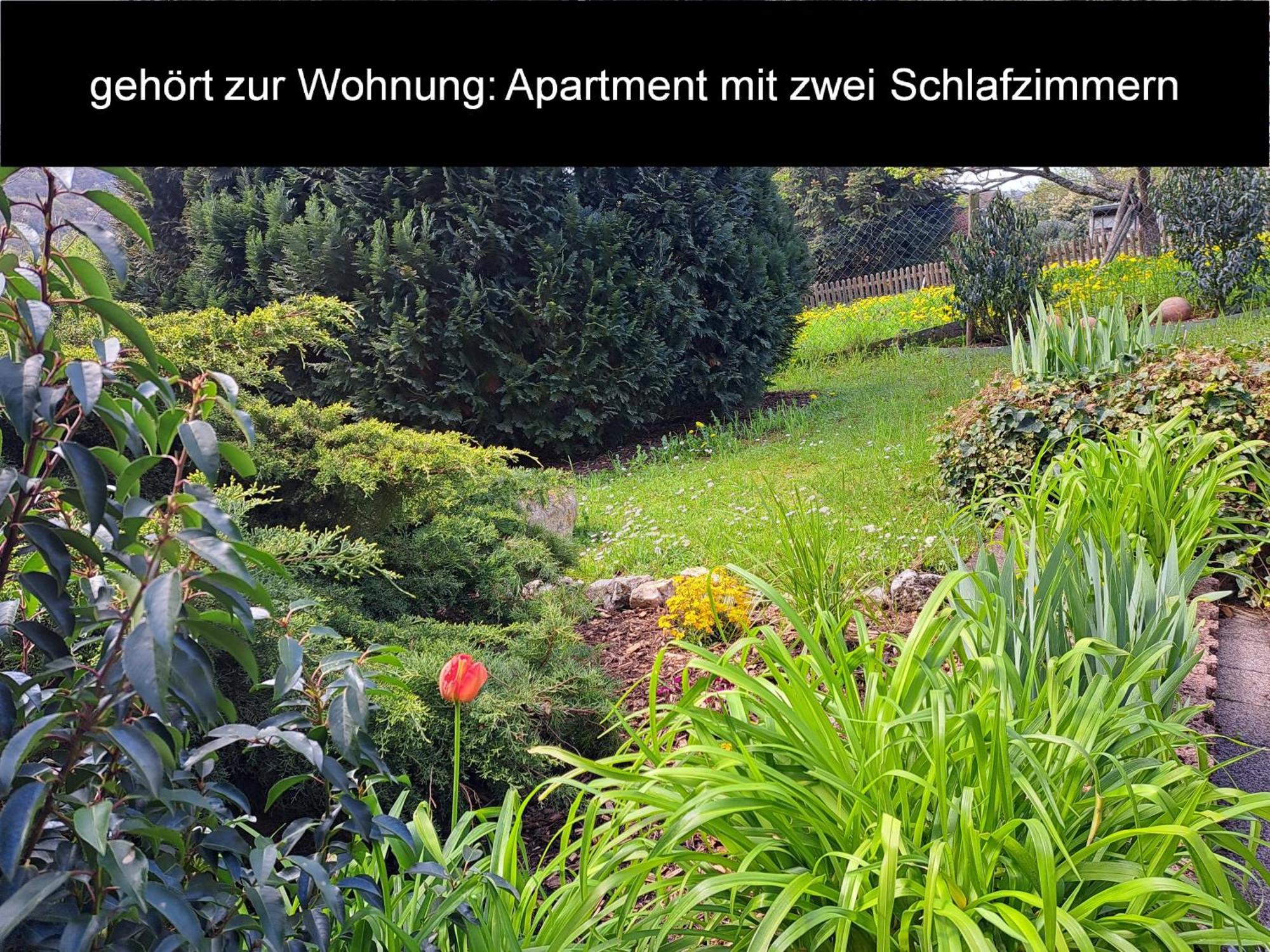 Evelyne Verbandsgemeinde Bernkastel-Kues